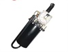 <b>:</b> MC321046<br/><b>:</b> MK321265<br/><b>:</b> MC894135<br/>