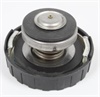 <b>CHRYSLER:</b> 4596198<br/>